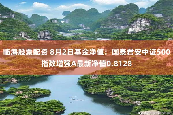 临海股票配资 8月2日基金净值：国泰君安中证500指数增强A最新净值0.8128
