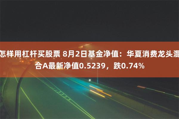 怎样用杠杆买股票 8月2日基金净值：华夏消费龙头混合A最新净值0.5239，跌0.74%