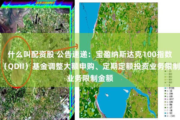 什么叫配资股 公告速递：宝盈纳斯达克100指数发起（QDII）基金调整大额申购、定期定额投资业务限制金额