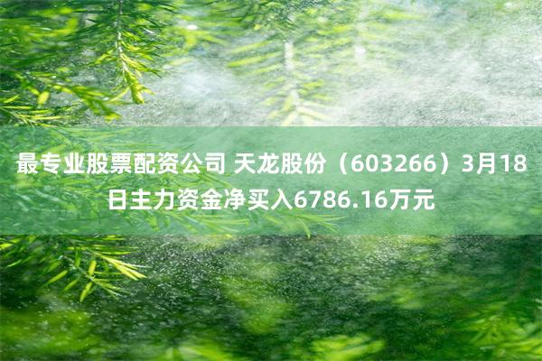 最专业股票配资公司 天龙股份（603266）3月18日主力资金净买入6786.16万元