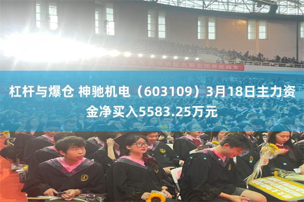 杠杆与爆仓 神驰机电（603109）3月18日主力资金净买入5583.25万元