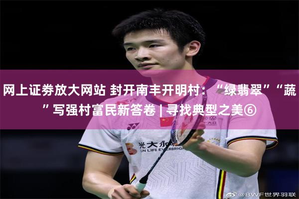 网上证劵放大网站 封开南丰开明村：“绿翡翠”“蔬”写强村富民新答卷 | 寻找典型之美⑥