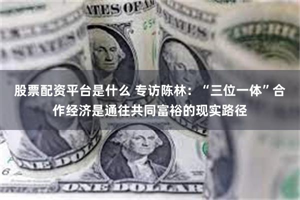 股票配资平台是什么 专访陈林：“三位一体”合作经济是通往共同富裕的现实路径