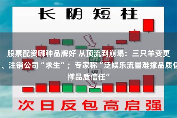 股票配资哪种品牌好 从顶流到崩塌：三只羊变更高管、注销公司“求生”；专家称“泛娱乐流量难撑品质信任”