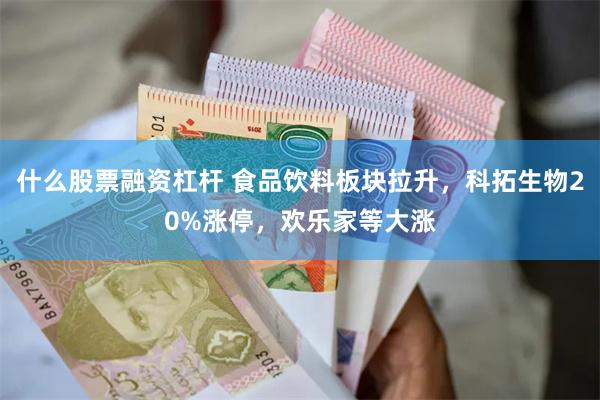 什么股票融资杠杆 食品饮料板块拉升，科拓生物20%涨停，欢乐家等大涨