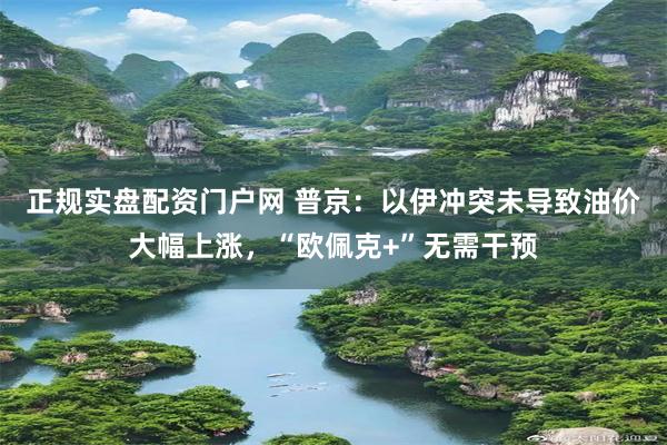 正规实盘配资门户网 普京：以伊冲突未导致油价大幅上涨，“欧佩克+”无需干预
