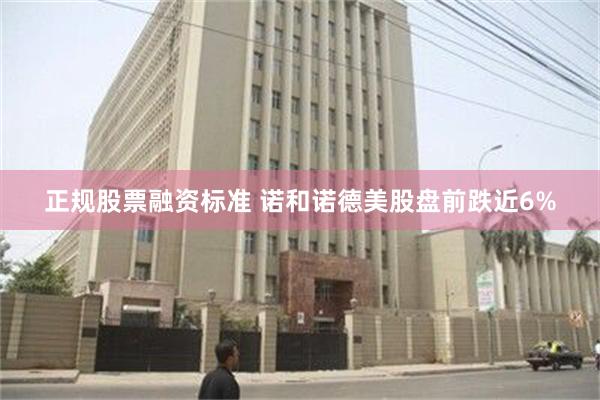 正规股票融资标准 诺和诺德美股盘前跌近6%