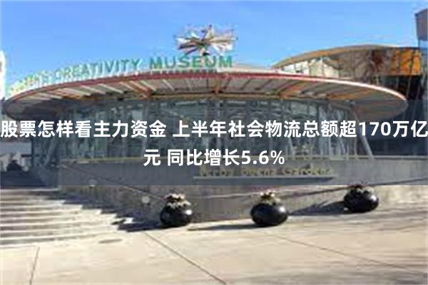 股票怎样看主力资金 上半年社会物流总额超170万亿元 同比增长5.6%