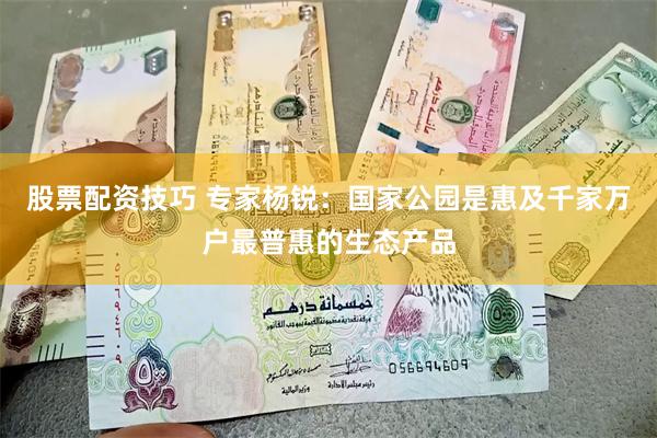 股票配资技巧 专家杨锐：国家公园是惠及千家万户最普惠的生态产品