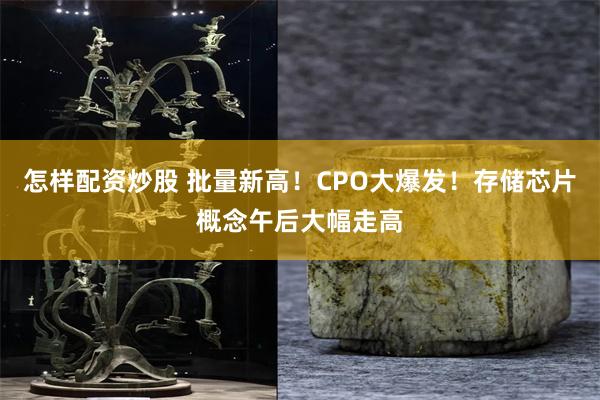 怎样配资炒股 批量新高！CPO大爆发！存储芯片概念午后大幅走高