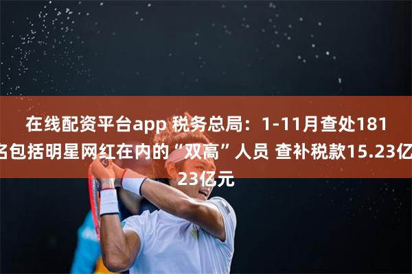 在线配资平台app 税务总局：1-11月查处1818名包括明星网红在内的“双高”人员 查补税款15.23亿元